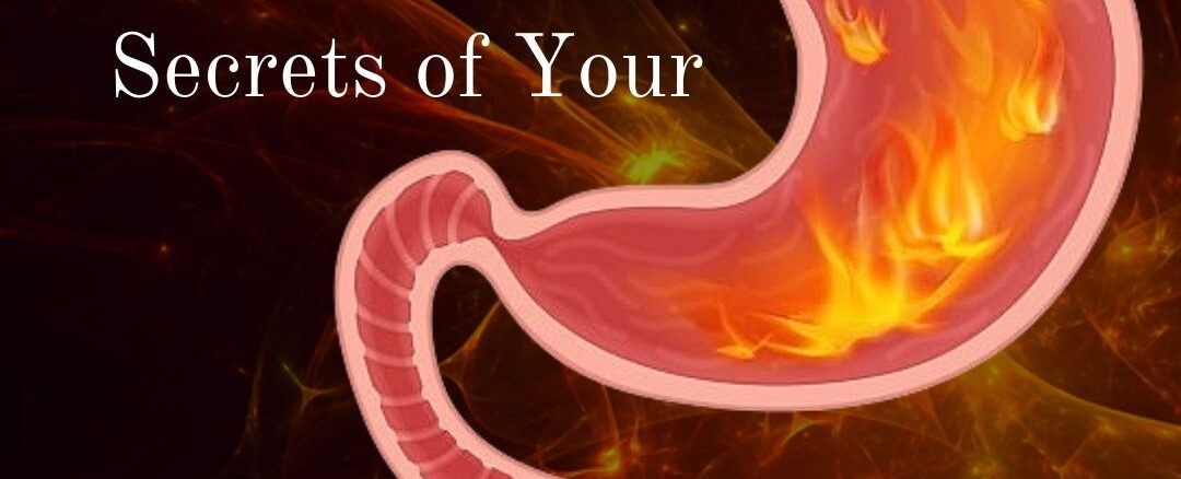 Unraveling the Secrets of Your Digestive Fire