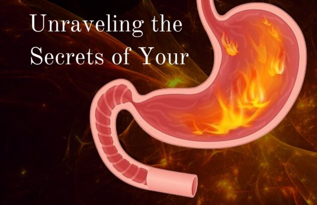 Unraveling the Secrets of Your Digestive Fire