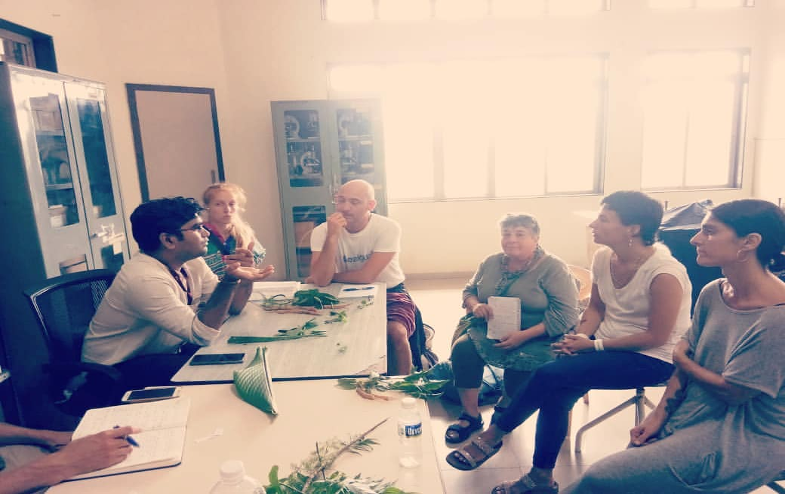 On August 7, 2019, a lecture and demonstration on Herbology were conducted with students from Spain. The session focused on the identification, properties, and therapeutic uses of various medicinal herbs in Ayurveda.